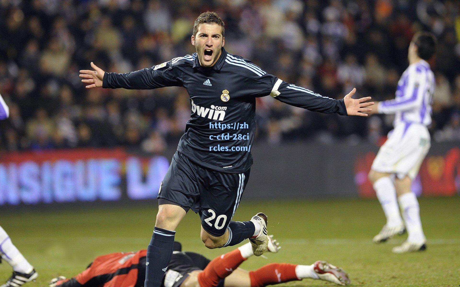 【28圈】仁迷新年献礼！全球球迷共创巨型球衣拼图传递祝福